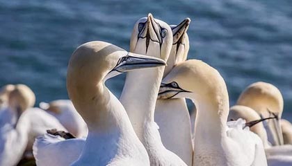 英超直播下载-76人取胜功臣不是双帝？三年级新秀全场正负值+33